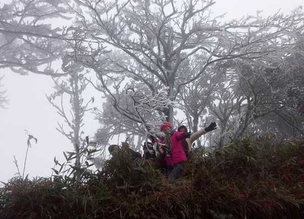 Nhiệt độ tiếp tục giảm mạnh, Hà Nội lạnh đến bao giờ?