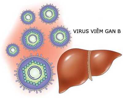 240 triệu người mắc viêm gan B