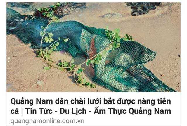 Xác định danh tính kẻ tung tin 'bắt được nàng tiên cá 48kg'