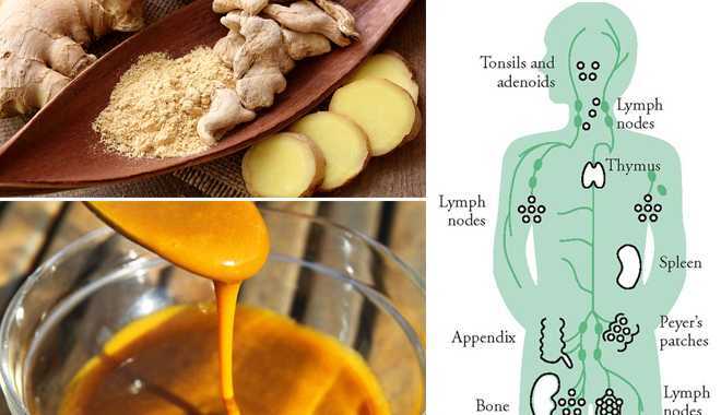 5 điều mà một bác sĩ sẽ làm để không bao giờ bị ung thư