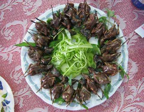 Bài thuốc, món ăn bổ thận, tăng cường sinh lực cho quý ông