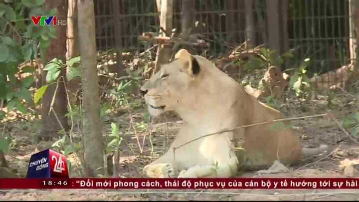 Cận cảnh công viên bán hoang dã đầu tiên tại Việt Nam