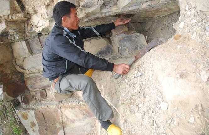 Chuyện lạ về hai người đàn ông săn ong giữa biển Đông