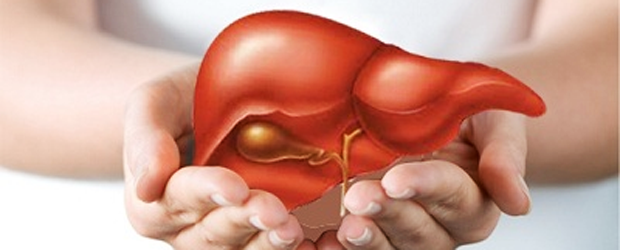 Loại bỏ độc tố cho lá gan khỏe mạnh