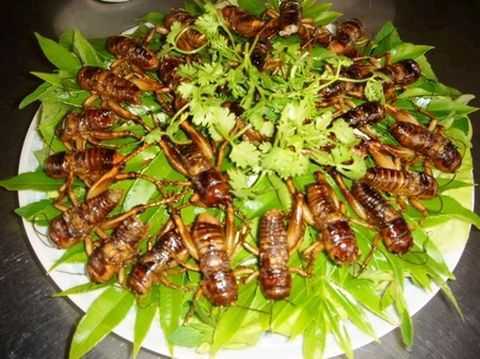 Những món tuyệt ngon nhưng nguy hiểm