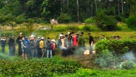 Thi thể người đàn ông bốc mùi nồng nặc dưới ruộng rau