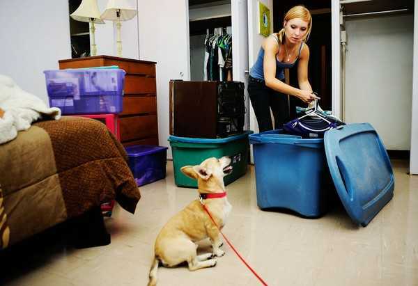 Những dịch vụ tranh thủ 'chặt chém' ngày Tết Dương lịch 2016