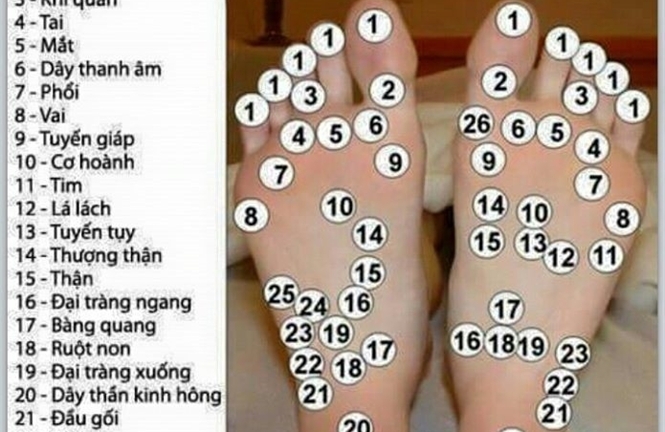 Phương thuốc phòng chống đột qụy, tai biến