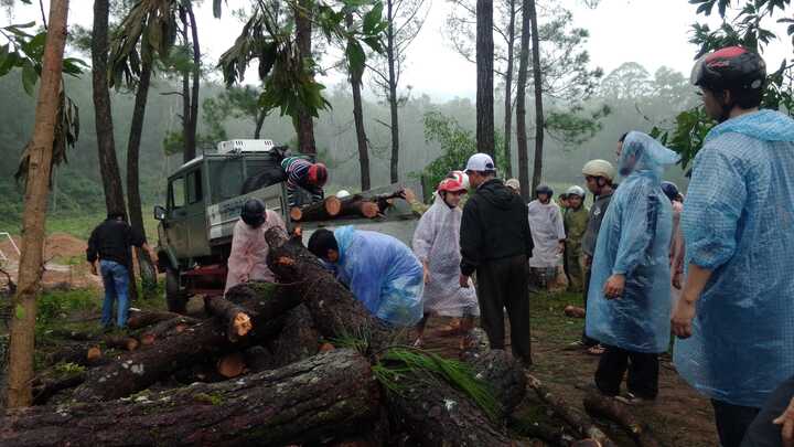 Vác dao rựa, thả chó ngăn lực lượng chức năng thu gỗ phá rừng đặc dụng