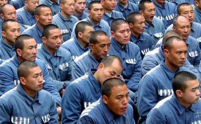 Bí ẩn xung quanh việc lấy nội tạng tử tù của Trung Quốc