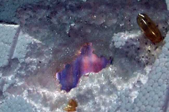 Hãi hùng thực phẩm chức năng Trung Quốc ‘ăn mòn’ miếng xốp