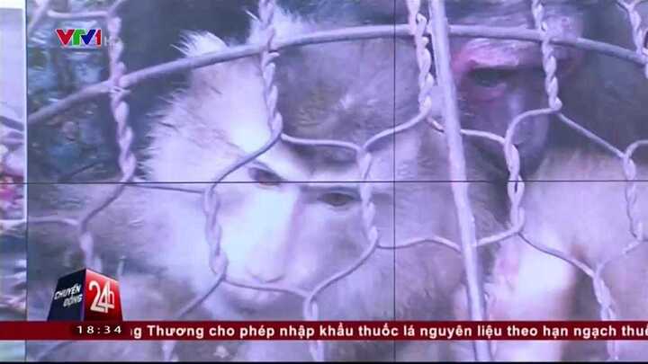 Thanh niên khoe giết khỉ rùng rợn trên Facebook kêu oan