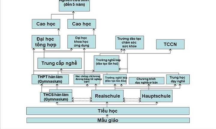 Giáo dục Đức phân luồng ngay sau bậc tiểu học