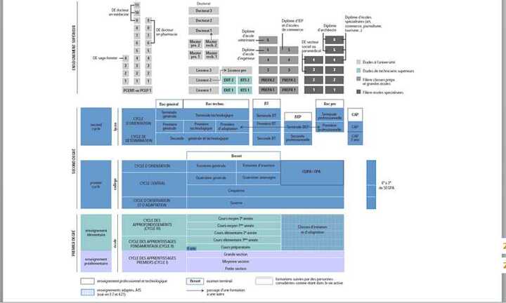 Hệ thống giáo dục Pháp phân luồng thế nào?