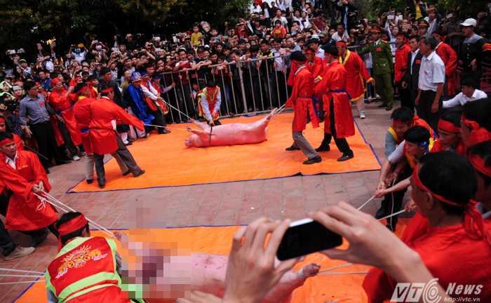 Bộ trưởng yêu cầu loại bỏ những lễ hội bạo lực, phản cảm