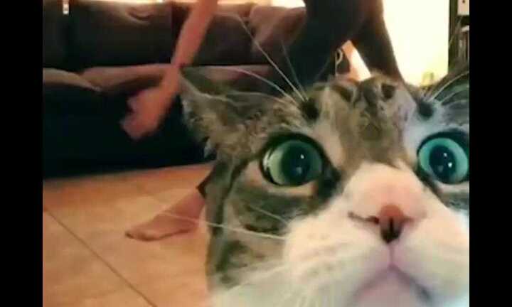 Cười rụng rốn clip ‘vạch mặt’ 5 kiểu người ‘dễ ghét’ nhất trên Facebook