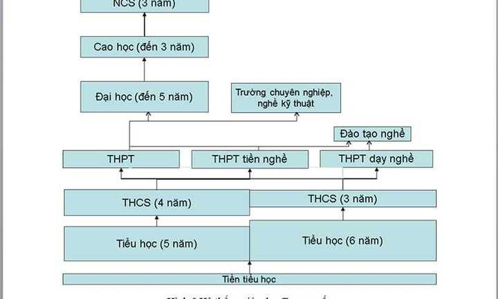 Gần 30% học sinh THPT Trung Quốc đỗ đại học hàng năm