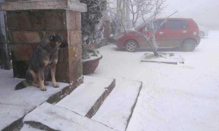 Miền Bắc phủ trắng bởi tuyết như châu Âu: Hiện tượng đi vào lịch sử