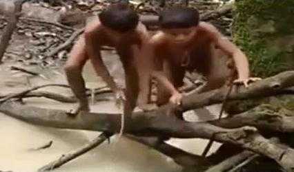 Rùng mình xem thổ dân Amazon bắt cá chình điện khổng lồ