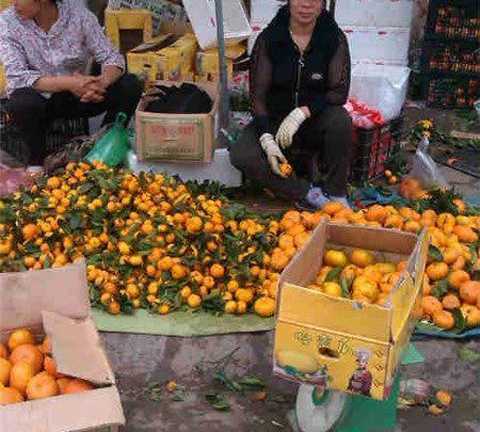 Chủ buôn hoa quả Trung Quốc: Dù không ăn một miếng mà móng tay biến dạng