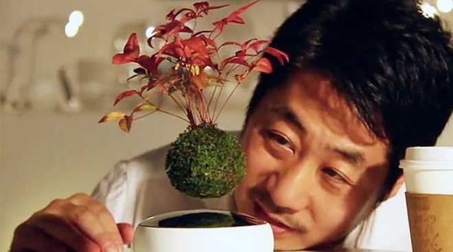 Sửng sốt với phát minh cây bonsai biết bay