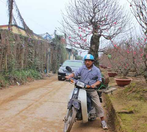 Dịch vụ chở hoa, cây cảnh Tết: Kiếm vài chục triệu không khó