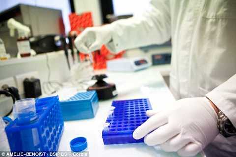 Tìm ra phương pháp chữa trị tận gốc HIV/AIDS