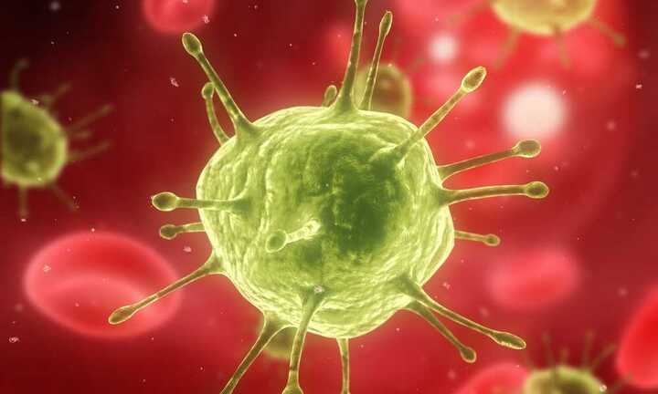 Virut viêm gan C – sát thủ ung thư thầm lặng