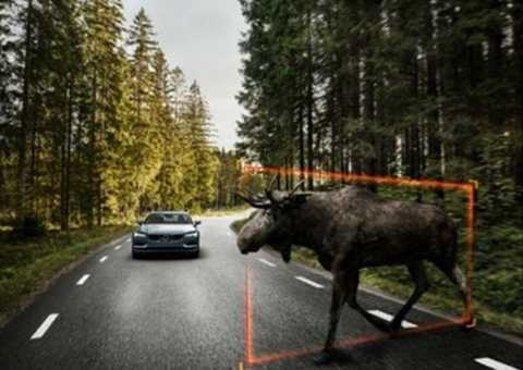 Volvo hứa hẹn mẫu ô tô không đâm đụng trên đường