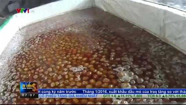 Sự thật kinh hoàng đằng sau những quả táo tàu Tết