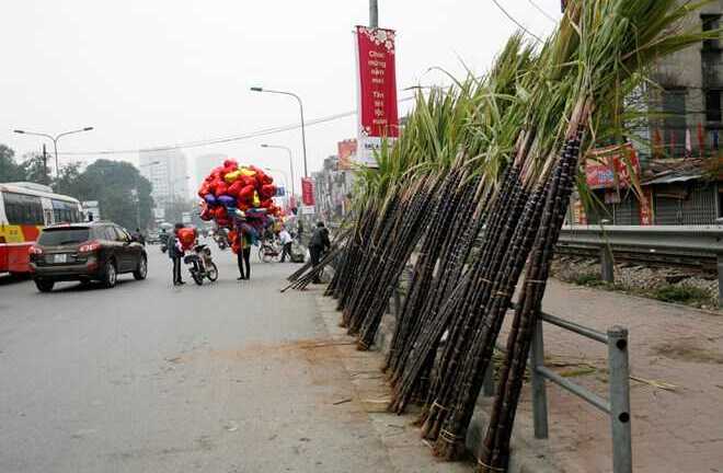 Vì sao người Việt thờ cúng cây mía ngày Tết?