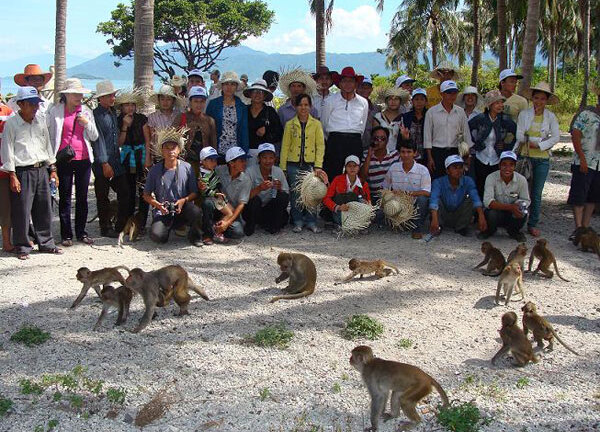 Những địa điểm ngắm khỉ tuyệt vời cho Tết Bính Thân 2016