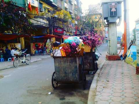 Hết Tết, đào chỏng chơ chất thành đống bên vệ đường
