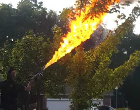 Clip: Dùng súng phun lửa thiêu trụi tổ ong bắp cày ‘khủng’ trong vườn