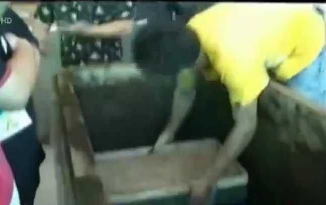 Kinh hoàng ‘công nghệ’ biến yến trắng thành yến huyết nhờ... phân hữu cơ