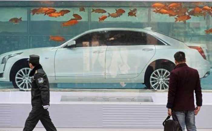 'Độc chiêu' trưng bày xe sang trong bể cá vàng