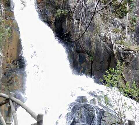 3 du khách Anh tử nạn tại thác Datanla: 'Thác dữ, vách đá dựng đứng mà họ dám liều'