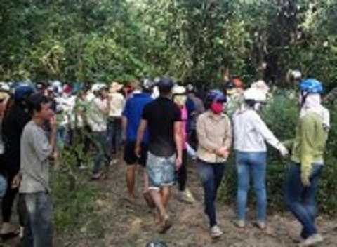 Trèo cây hái lá, cụ ông trượt chân té tử vong tại chỗ