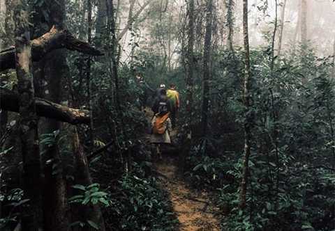 Đoàn Kiểm lâm bị nhóm người lạ tấn công