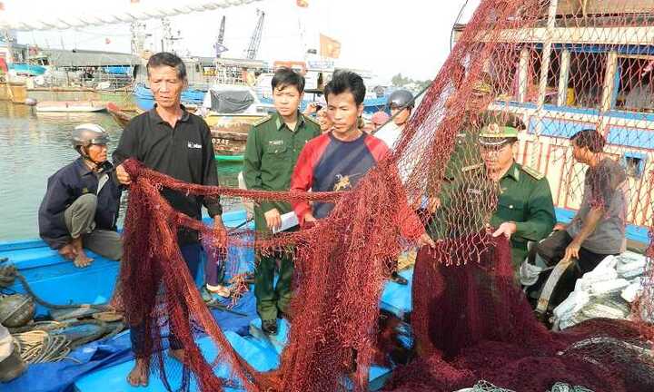 Tàu cá Việt bị tàu Trung Quốc tấn công: 'Chúng độc ác vô cùng, nhưng chúng tôi không sợ'