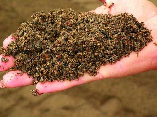 Việt Nam sẽ nhập khẩu đất, Bộ Nông nghiệp bất ngờ