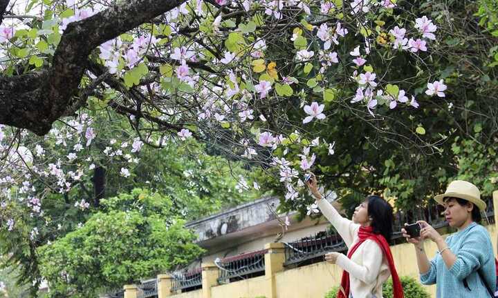 Ảnh: Giới trẻ Hà thành đắm mình cùng sắc ban Tây Bắc