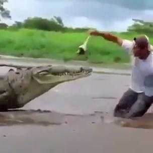 Những video hot nhất trên Facebook ngày 15/3