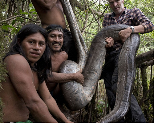 Phát hiện 'quái vật' rắn khổng lồ dài hơn 5m