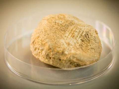 Phát hiện mới về lịch sử tồn tại của con người