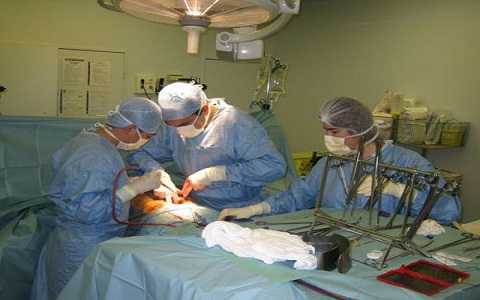 Tinh hoàn bắn ra khỏi người, tìm mãi không thấy