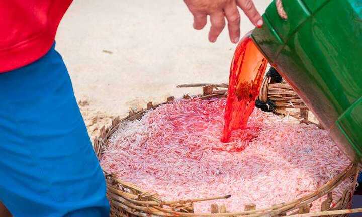 'Quả bóng' trị giá 3.500 tỷ đồng và những con ruốc tắm mình trong 'máu'