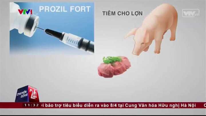 Hiểm họa ung thư xương và đãng trí từ thịt lợn tiêm thuốc an thần