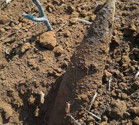 Chết vì nhặt đạn mang về nhà bất ngờ bị phát nổ