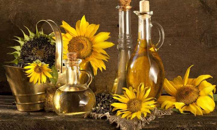Giải mã ‘cơn sốt’ dầu hướng dương nhập khẩu từ Ukraine